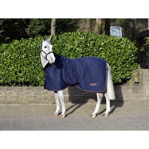 Whitaker Rastrick Cosy Stable Rug (Navy)