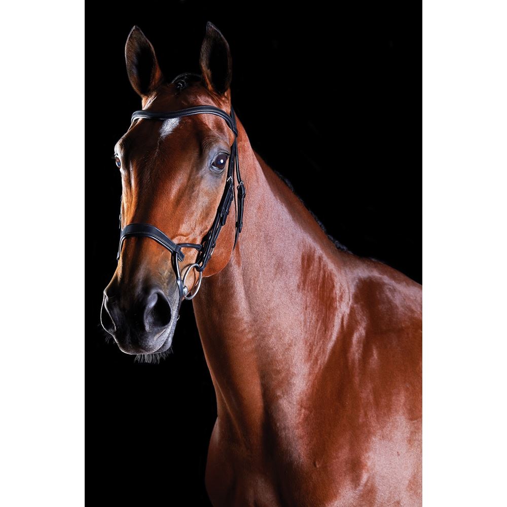 Collegiate Comfitec Training Bridle