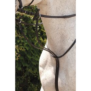 Rhinegold Elegance Stitched Running Martingale