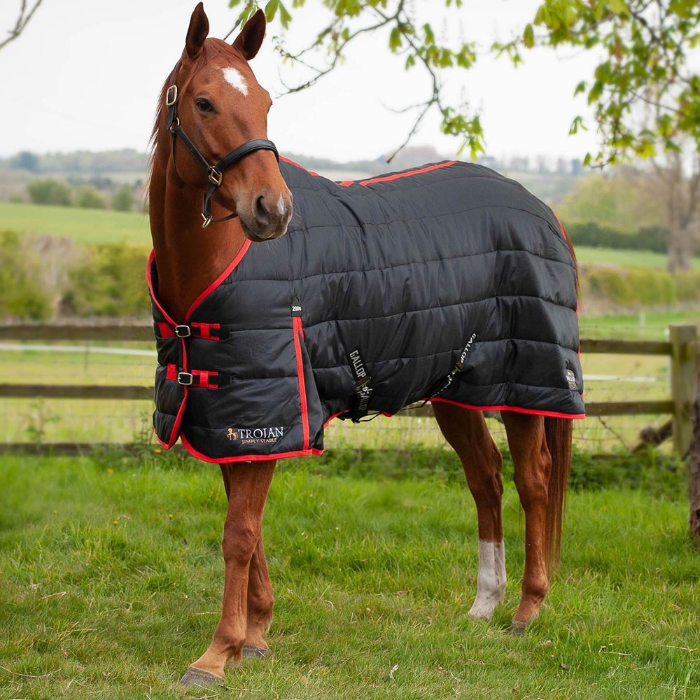 Gallop Trojan 200 Stable Rug (Black/Red)