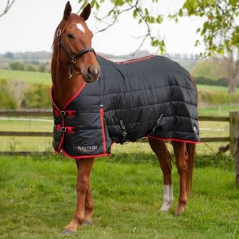 Gallop Trojan 200 Stable Rug (Black/Red)