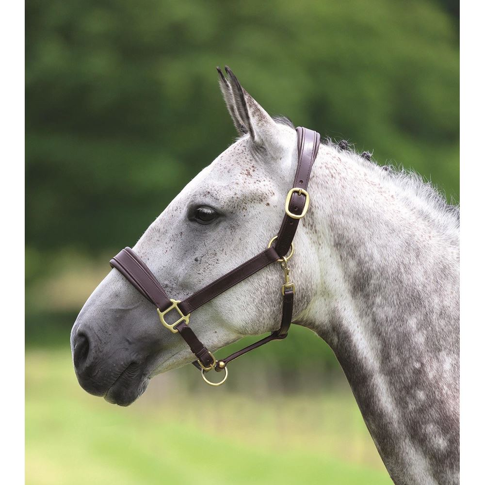 Shires Blenheim Leather Travel Headcollar