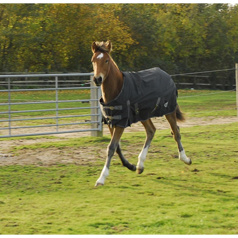 Rhinegold Konig Small Pony/Foal Outdoor Rug - 200g (Black)