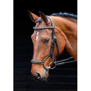 Shires Salisbury Brampton Bridle (Black)