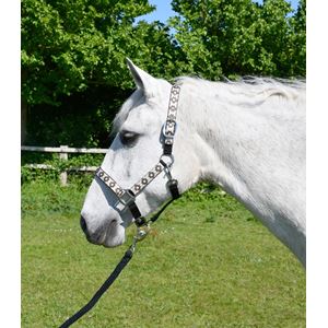 Rhinegold Aztec Padded Headcollar And Matching Lead Rope Set