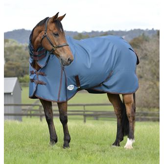 Weatherbeeta ComFiTec Classic Combo Neck Medium Turnout Rug (Dark Blue/Coffee)