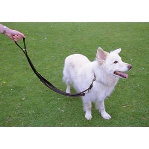 HALTI Training Lead - Small