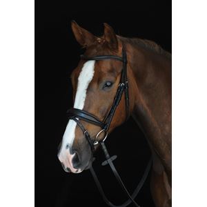 Collegiate Mono Crown Padded Raised Flash Bridle