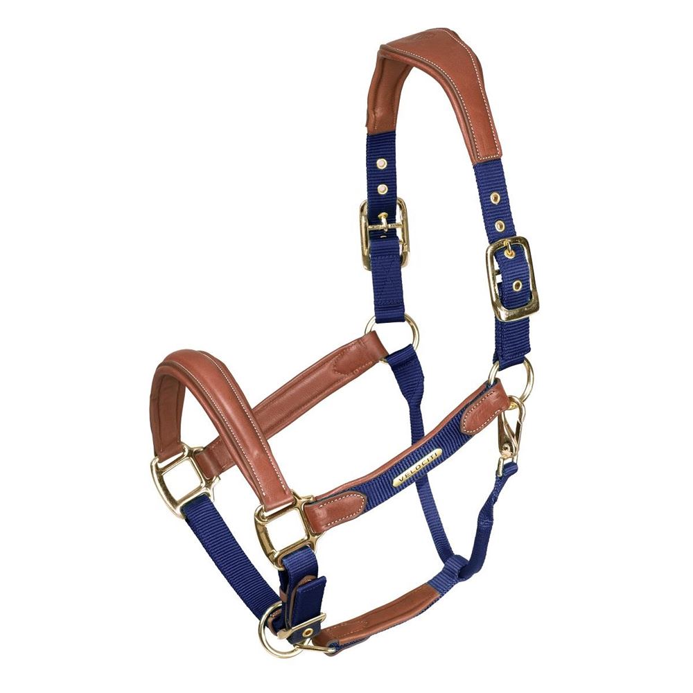 Shires Velociti Lusso Padded Leather Headcollar (Navy)