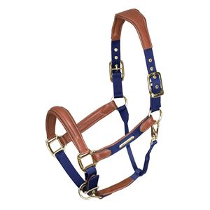 Shires Velociti Lusso Padded Leather Headcollar (Navy)