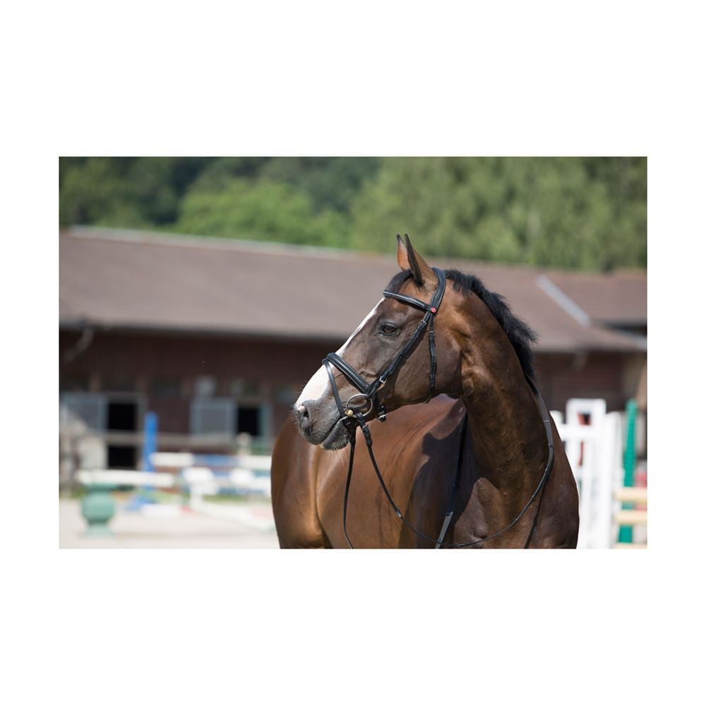 Kieffer Ultrasoft Snaffle Bridle