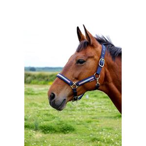 Hy Equestrian Mystic Head Collar (Navy/Rainbow Dust)