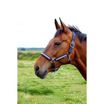 Hy Equestrian Mystic Head Collar (Navy/Rainbow Dust)