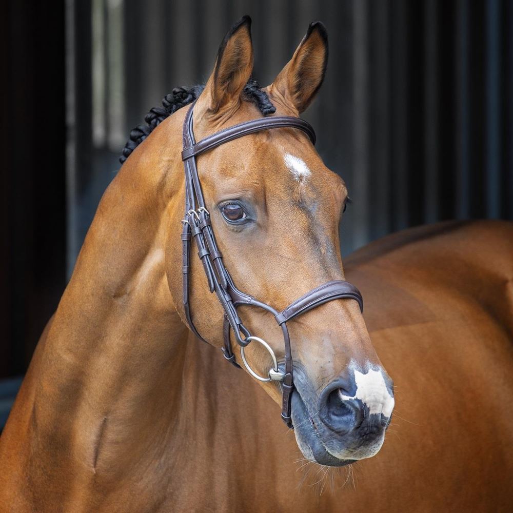 **barcodes/brand*Shires Lusso Rolled Padded Cavesson Bridle (Havana)