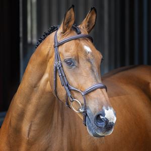 **barcodes/brand*Shires Lusso Rolled Padded Cavesson Bridle (Havana)