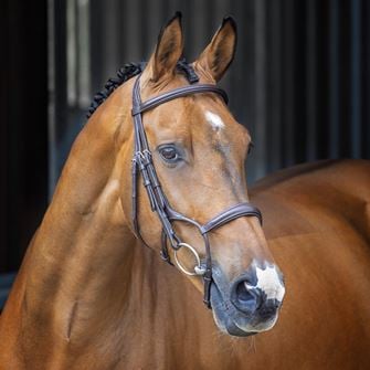 Shires Velociti Lusso Rolled Padded Cavesson Bridle (Havana)