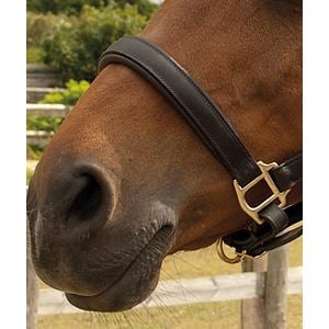 Heritage Saddlery English Leather Padded Headcollar