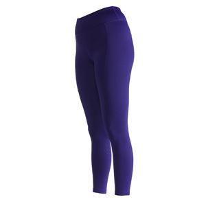 Shires Aubrion Shield Winter Riding Tights (Ink)