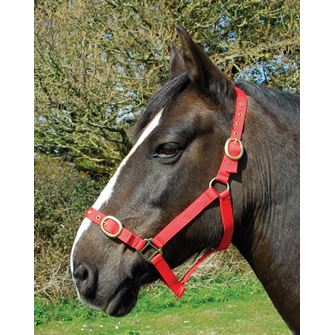 Rhinegold Nylon Headcollar (Red)