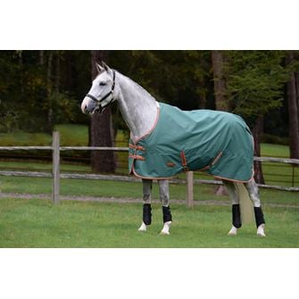 WeatherBeeta ComFiTec Tyro Standard Neck Lite Plus Turnout Rug (Green/Burnt Orange/White)