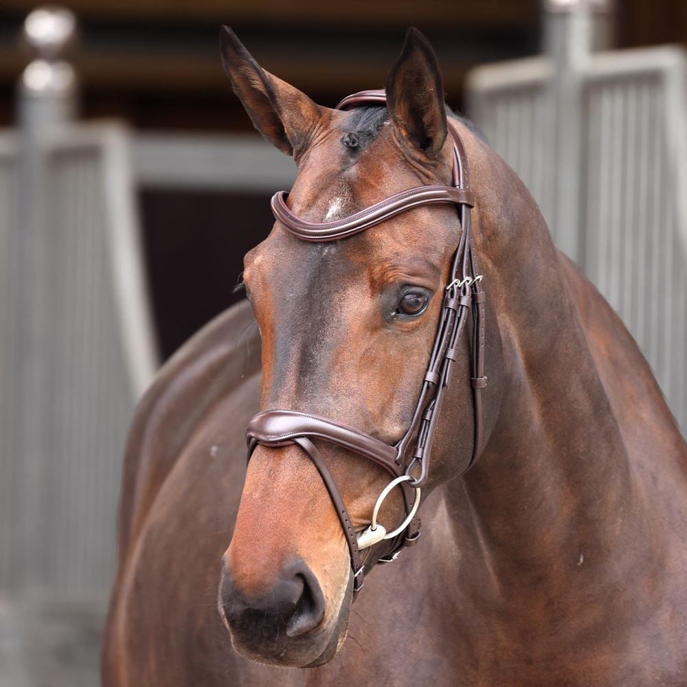 Shires Velociti Lusso Elite Flash Bridle (Havana)