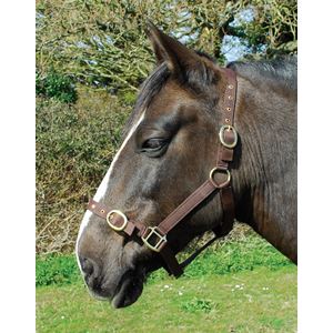 Rhinegold Nylon Headcollar (Brown)