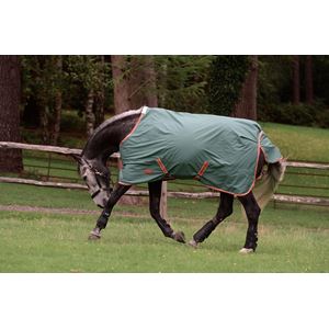 WeatherBeeta ComFiTec Tyro Standard Neck Medium Turnout Rug (Green/Burnt Orange/White)