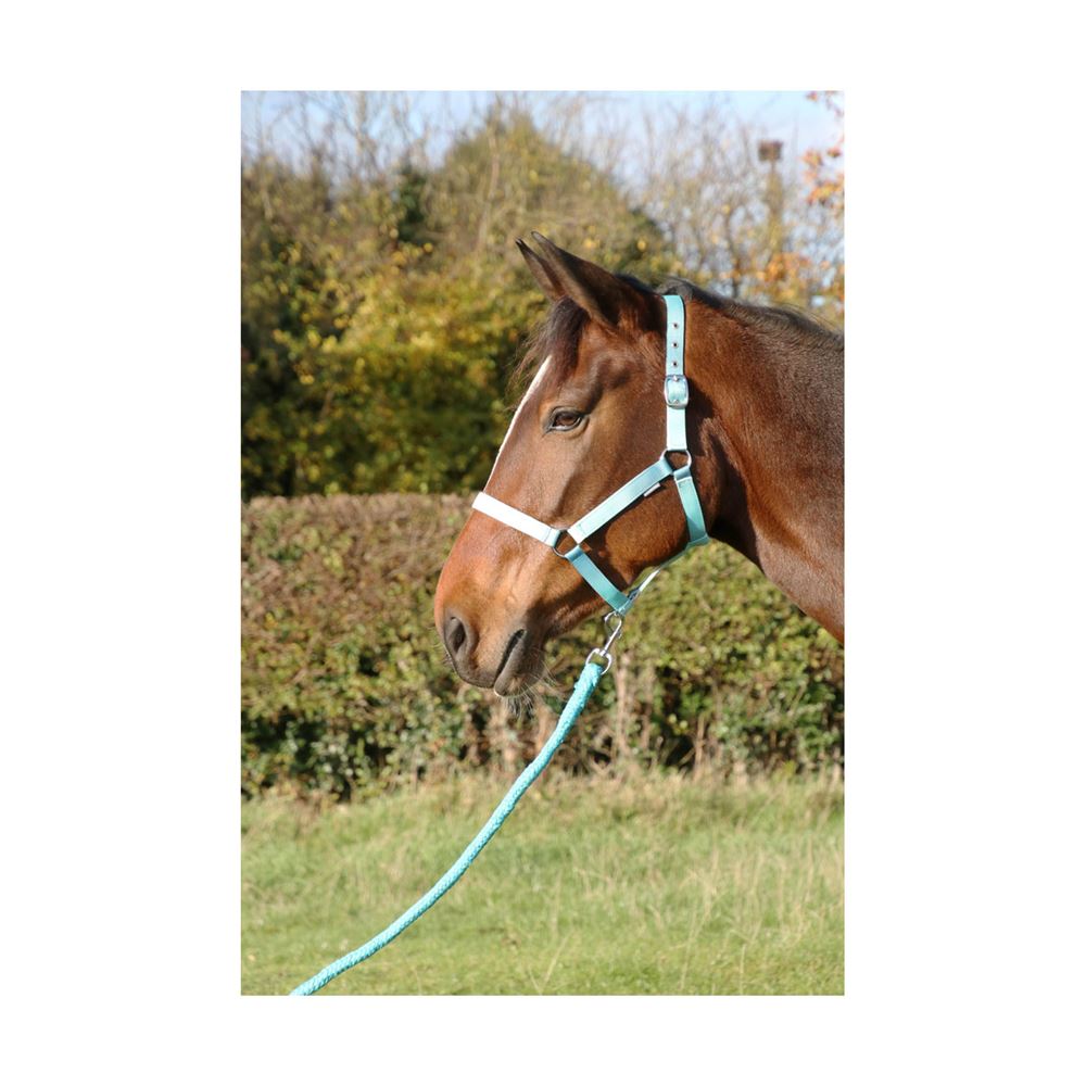 Hy Equestrian Ombre Head Collar & Lead Rope (Teal)