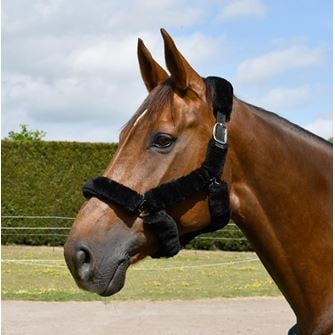 Rhinegold Fur Trim Headcollar (Black)