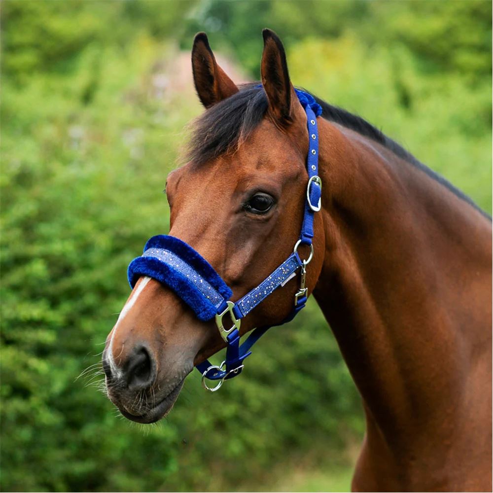 Hy Equestrian Dazzle Head Collar (Twighlight Navy)