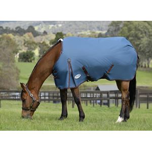 Weatherbeeta ComFiTec Classic Standard Neck Medium Turnout Rug (Dark Blue/Coffee)