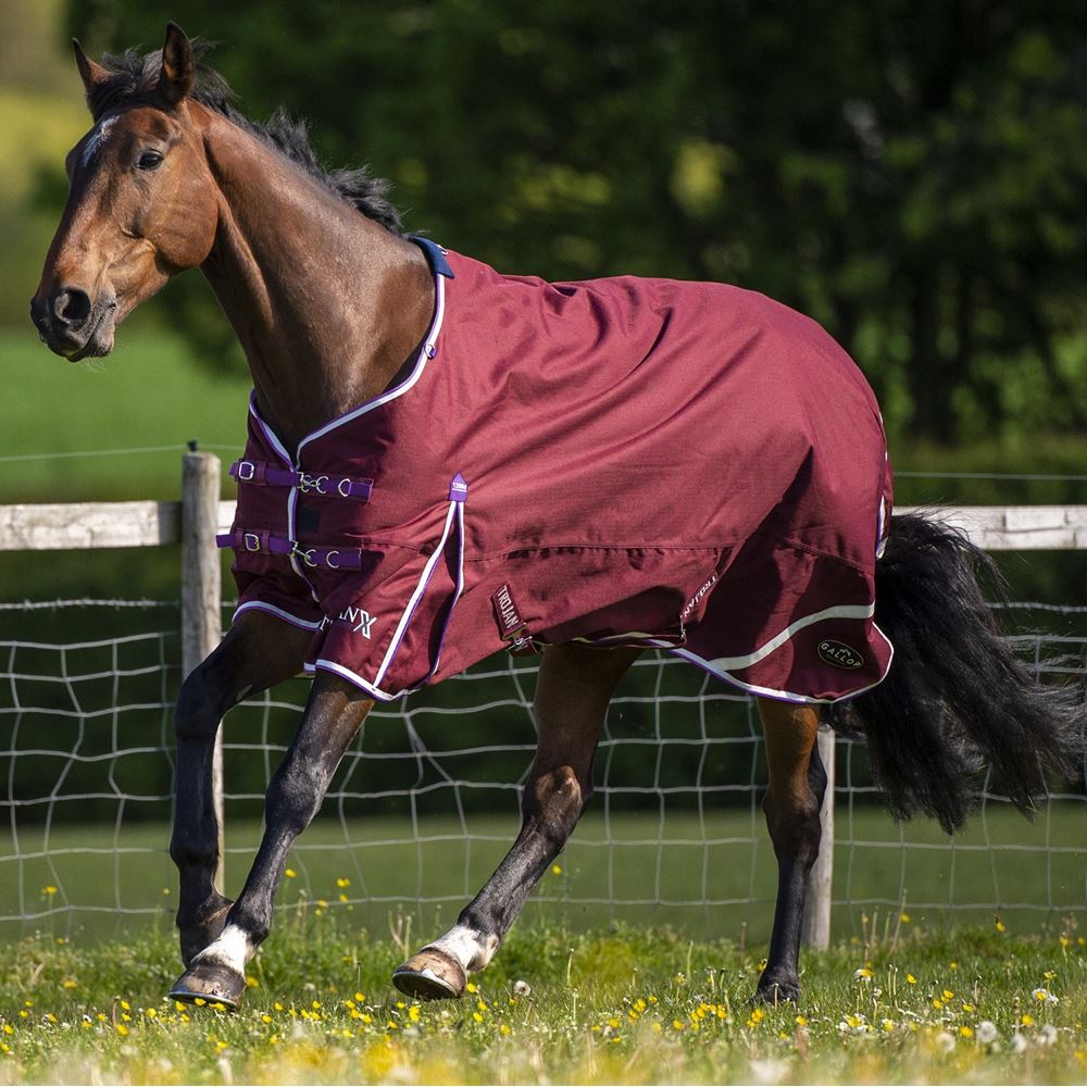 Gallop Trojan Xtra Lightweight Turnout Combo (Burgundy/White & Purple)