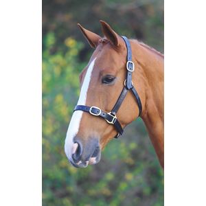 Shires Velociti GARA Fully Adjustable Leather Headcollar (Black)