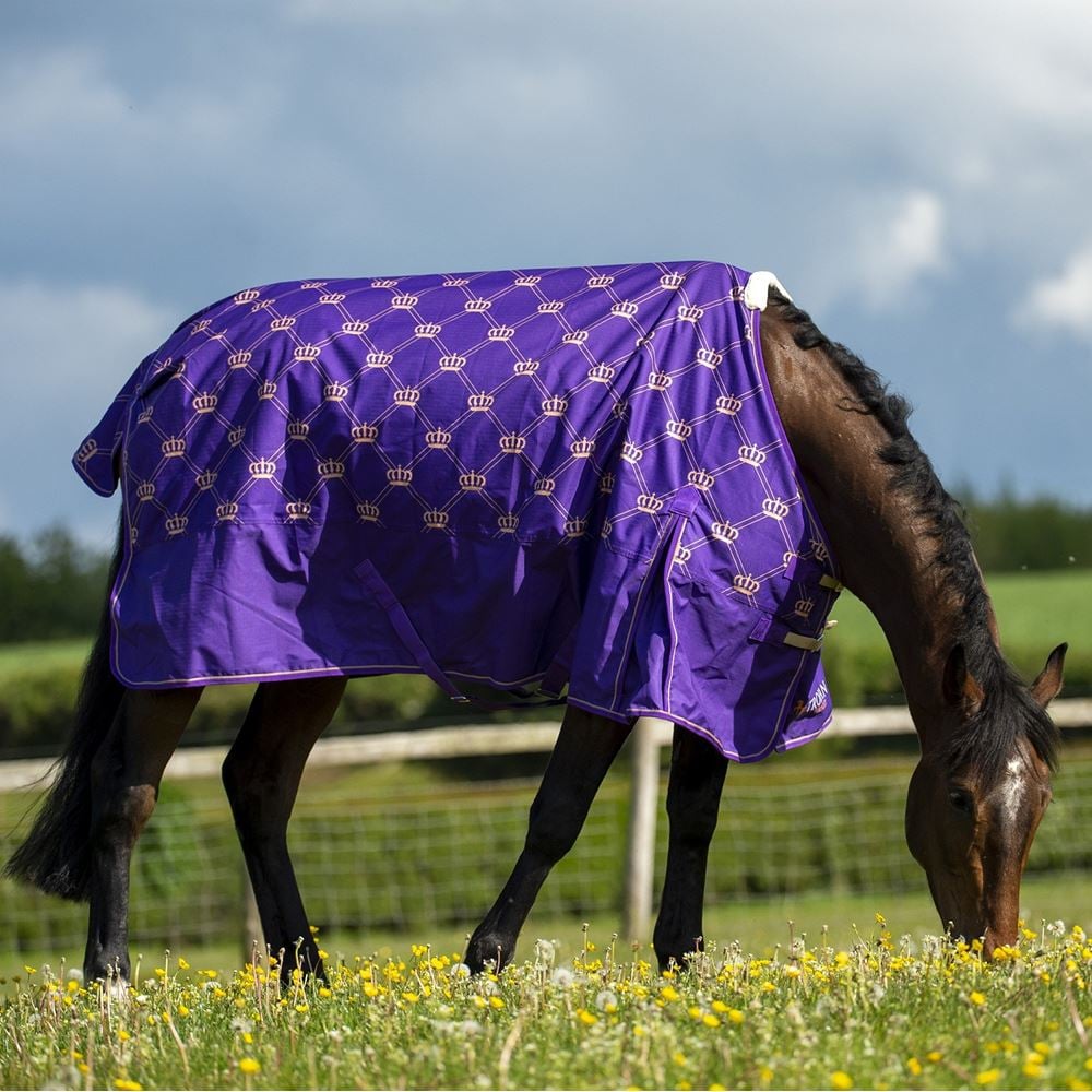 Gallop Trojan Monarch 100 Turnout (Purple Crown)