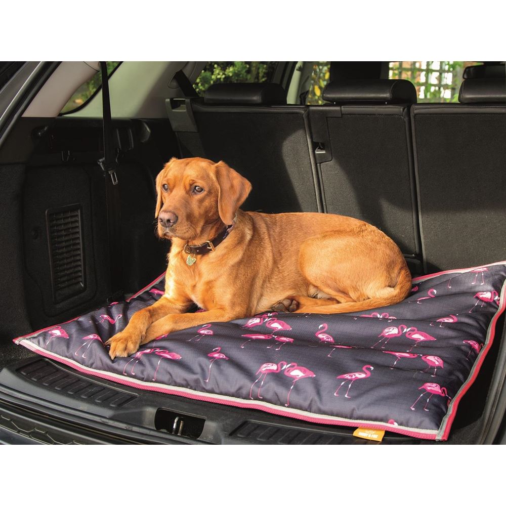 Shires Digby & Fox Printed Waterproof Dog Bed - Large