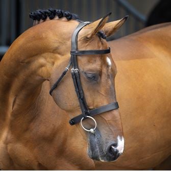 Shires Velociti Lusso Hunter Cavesson Bridle (Black)