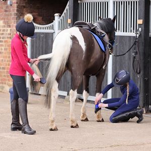 Shires Aubrion Shield Winter Riding Tights - Young Rider (Black)