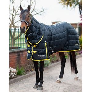 Gallop Trojan Maverick 200 Stable Combo (Black/Yellow)