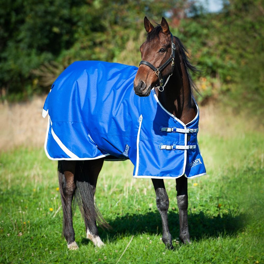 Gallop Trojan Xtra 300 Dual Turnout Rug & Neck Set (Royal Blue/Grey)