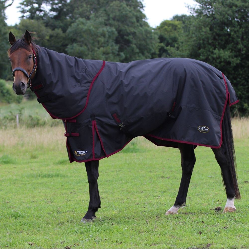 Gallop Trojan Dual 50g Turnout Rug (Black/Burgundy)