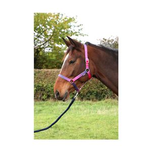 Hy Equestrian Ombre Head Collar & Lead Rope (Pink/Purple/Navy)