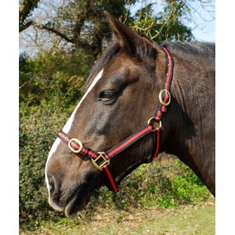 Rhinegold Nylon Headcollar (Black/Red)