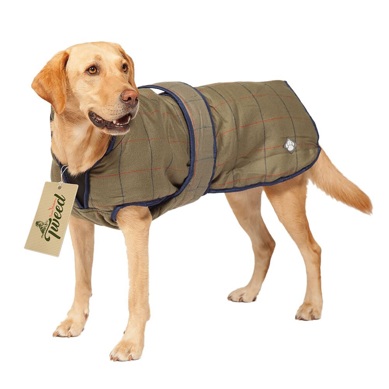 Danish design 2024 dog coat